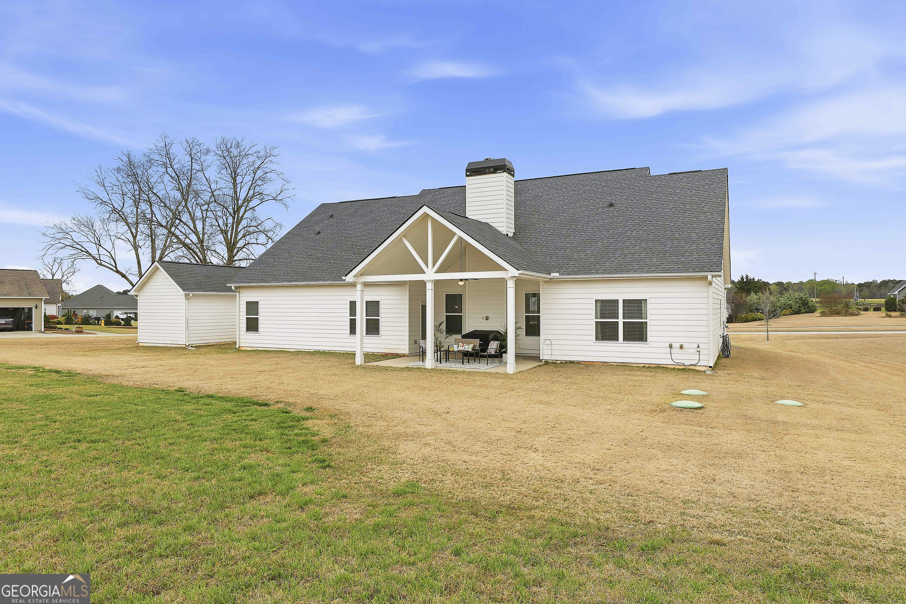 66 Chapman Farm Road Senoia, GA 30276 - Photo 42 of 46 a view of a house with a yard and large tree