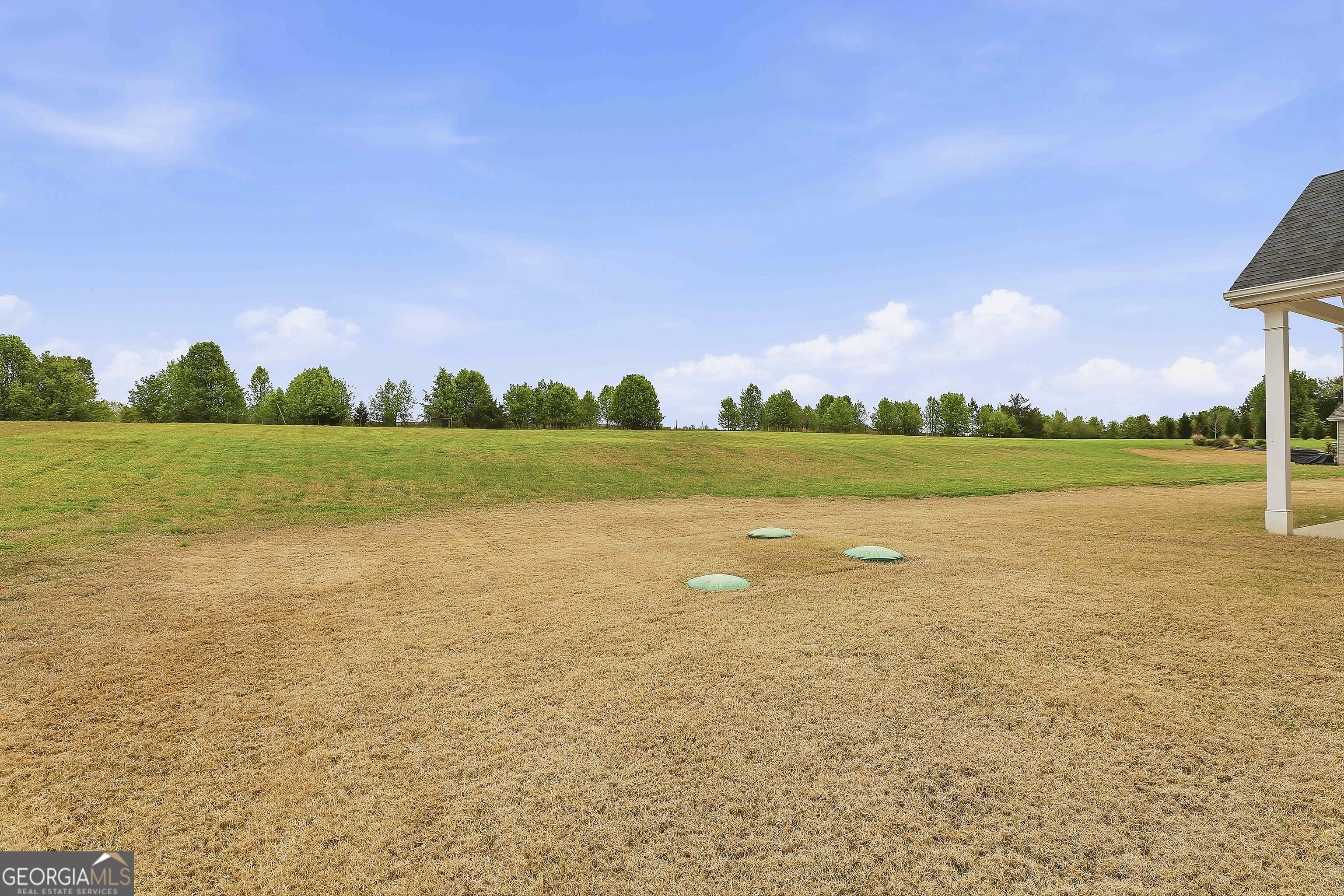 66 Chapman Farm Road Senoia, GA 30276 - Photo 43 of 46 a view of an ocean and a yard