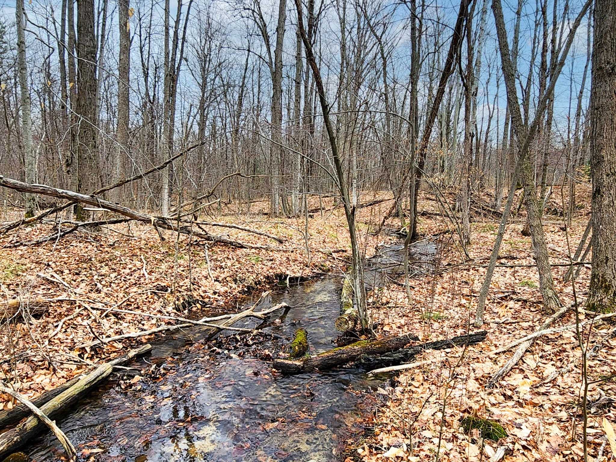 25-acres Mostetler Road Harrison, MI 48625 - Photo 3 of 4 Gallery Image 3