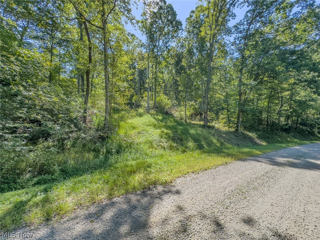 0 Brewer Road Cadiz, OH 43907 - Photo 32 of 37 View of dirt / gravel road with a view of trees