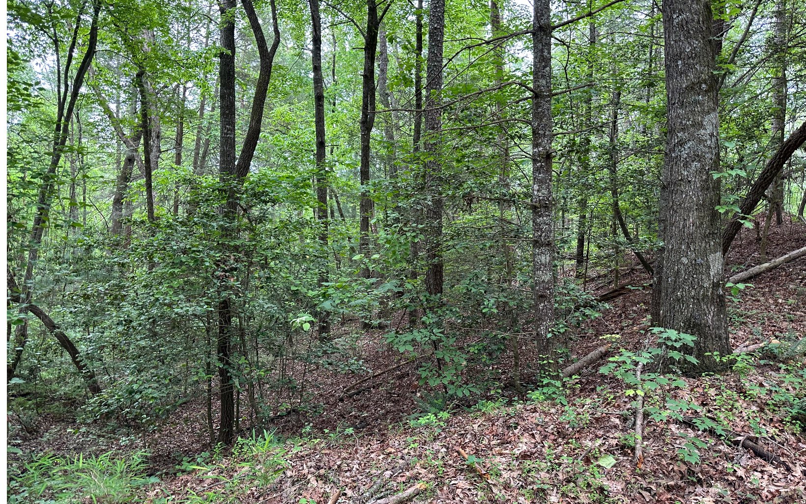 0 Scott Hollow Road Ellijay, GA 30540 - Photo 2 of 11 Additional View
