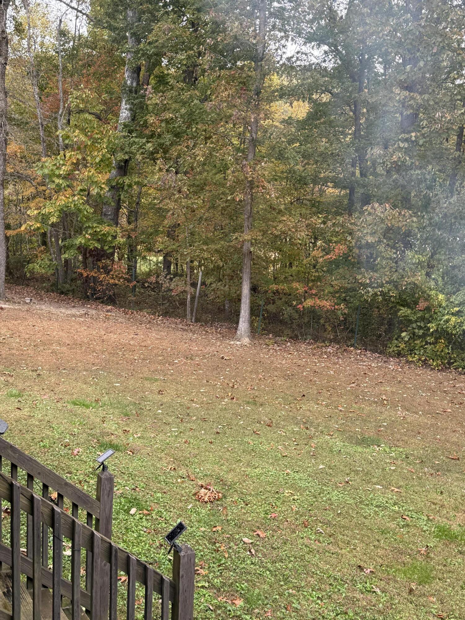 218 Black Mountain Road Dunlap, TN 37327 - Photo 21 of 23 IMG_8809