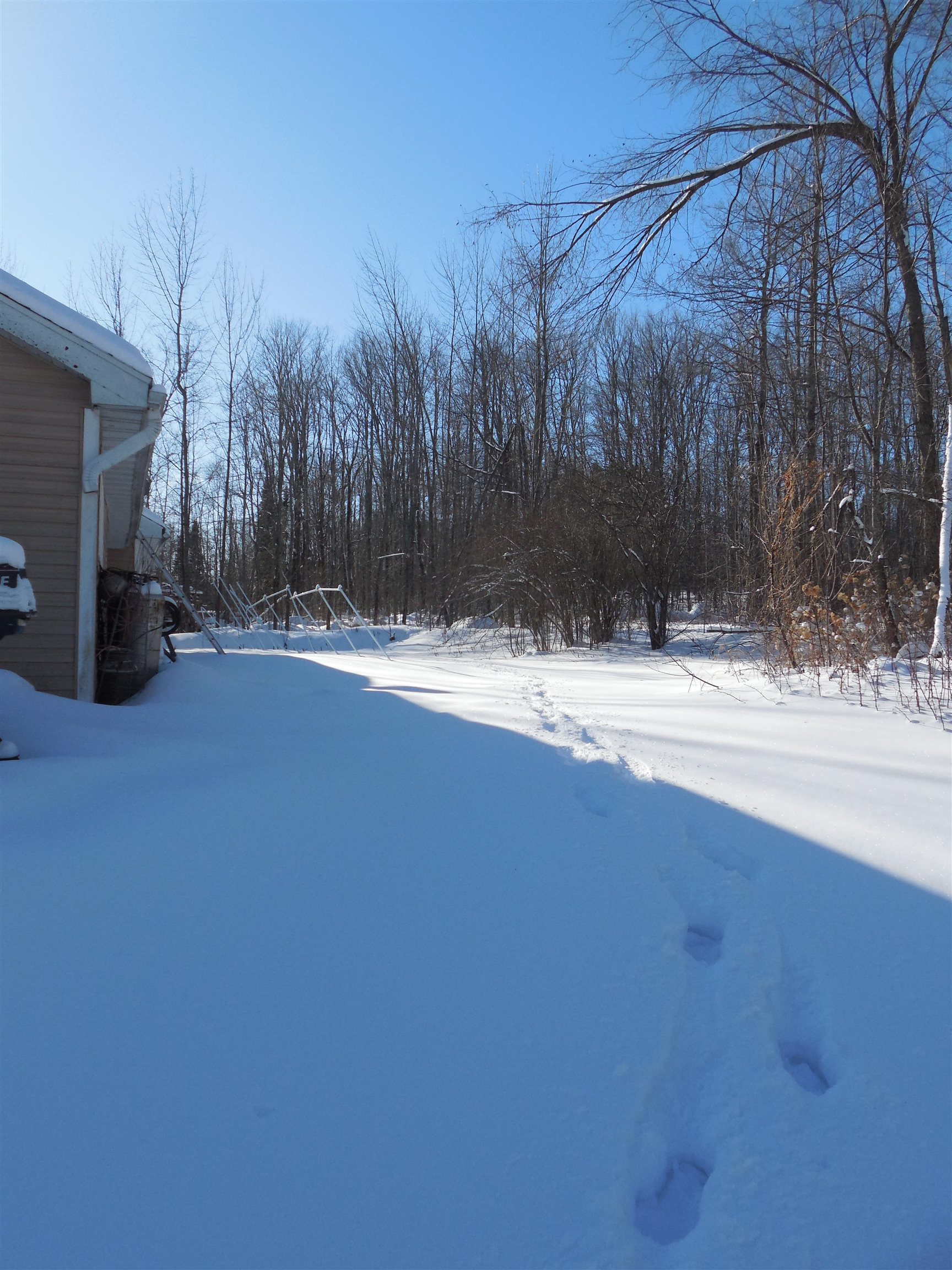 479 Deer Lane Wabeno, WI 54566 - Photo 33 of 40