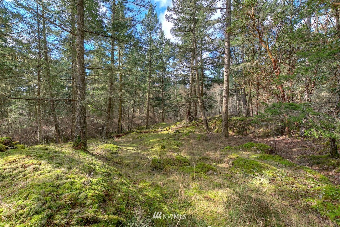0 Rebe Road, Unit 1 Orcas Island, WA 98280 - Photo 14 of 21 Gallery Image 14