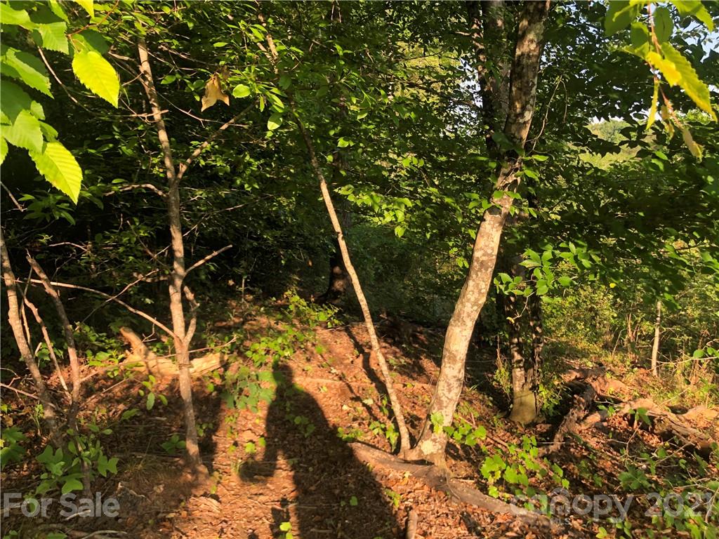 0 Overstone Drive, Unit 280 Rutherfordton, NC 28139 - Photo 11 of 16 a view of under tree
