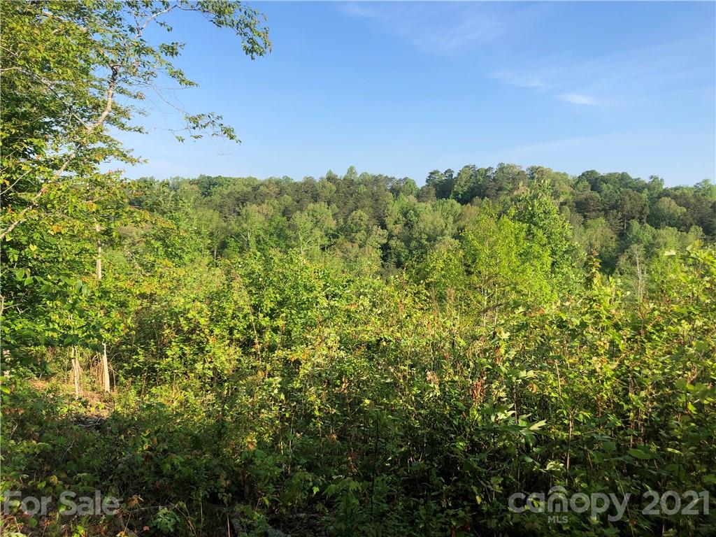 0 Overstone Drive, Unit 280 Rutherfordton, NC 28139 - Photo 12 of 16 a view of a field
