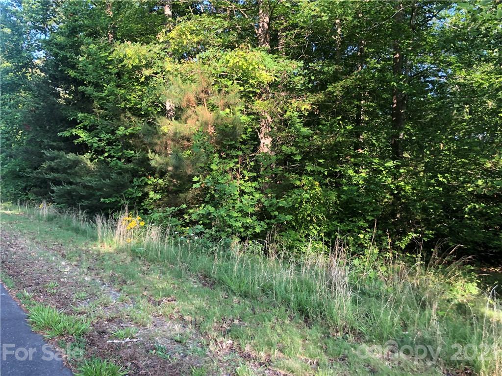 0 Overstone Drive, Unit 280 Rutherfordton, NC 28139 - Photo 14 of 16 a view of a lush green forest with lots of trees
