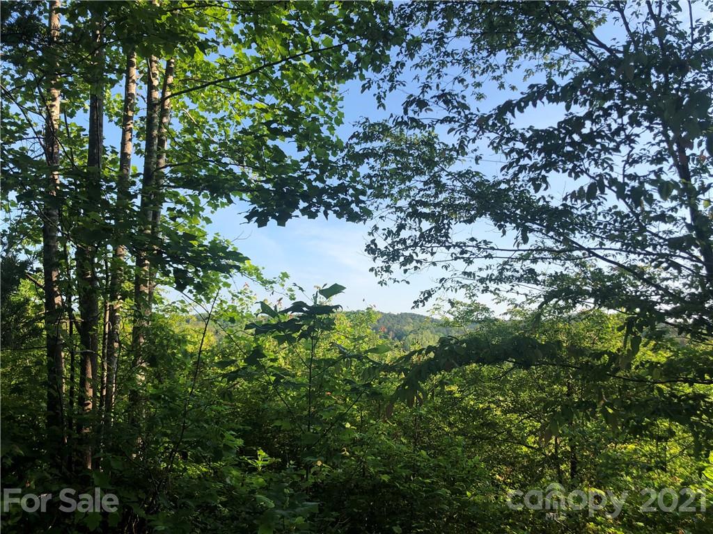 0 Overstone Drive, Unit 280 Rutherfordton, NC 28139 - Photo 15 of 16