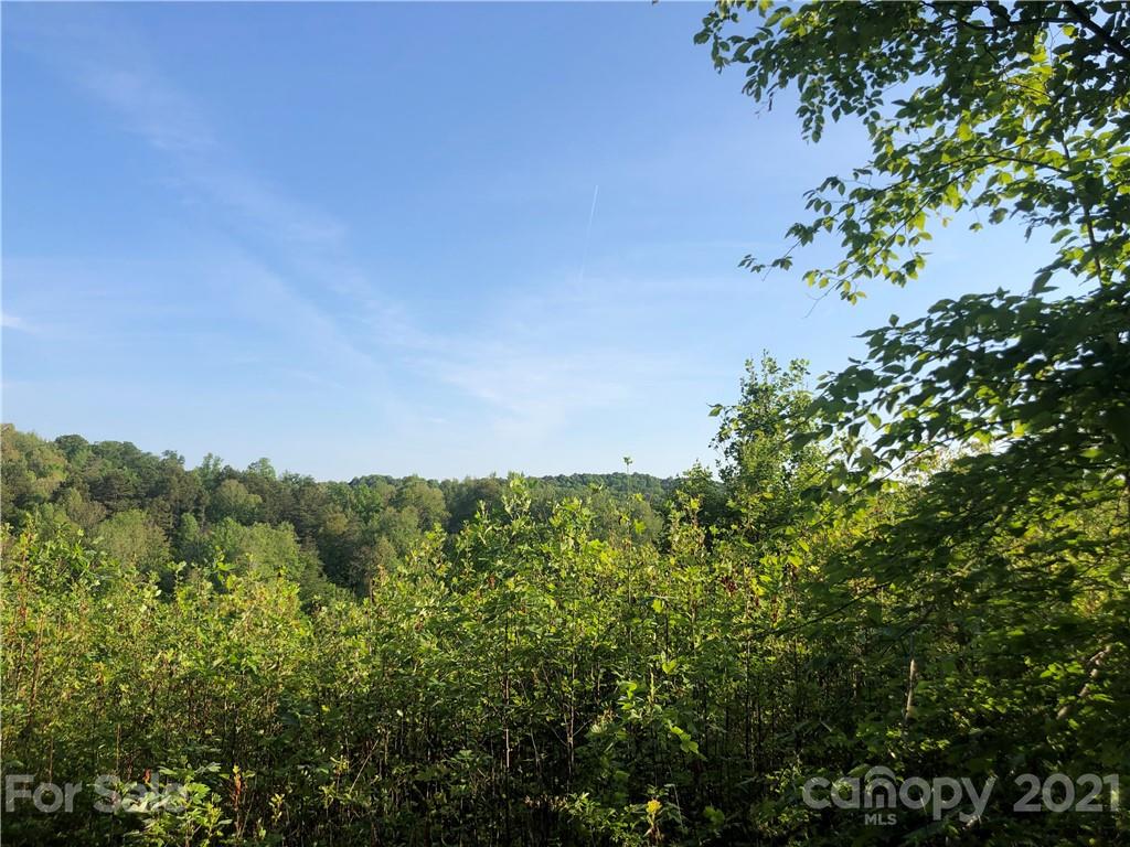 0 Overstone Drive, Unit 280 Rutherfordton, NC 28139 - Photo 6 of 16 a view of a field of grass and trees