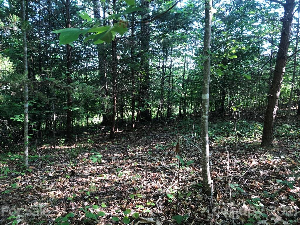 0 Overstone Drive, Unit 280 Rutherfordton, NC 28139 - Photo 7 of 16 a view of forest