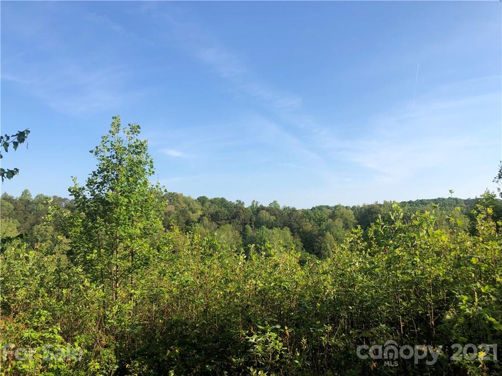 0 Overstone Drive, Unit 280 Rutherfordton, NC 28139 - Photo 8 of 16