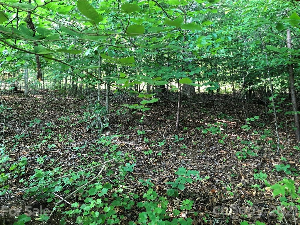 0 Overstone Drive, Unit 280 Rutherfordton, NC 28139 - Photo 9 of 16 a garden view