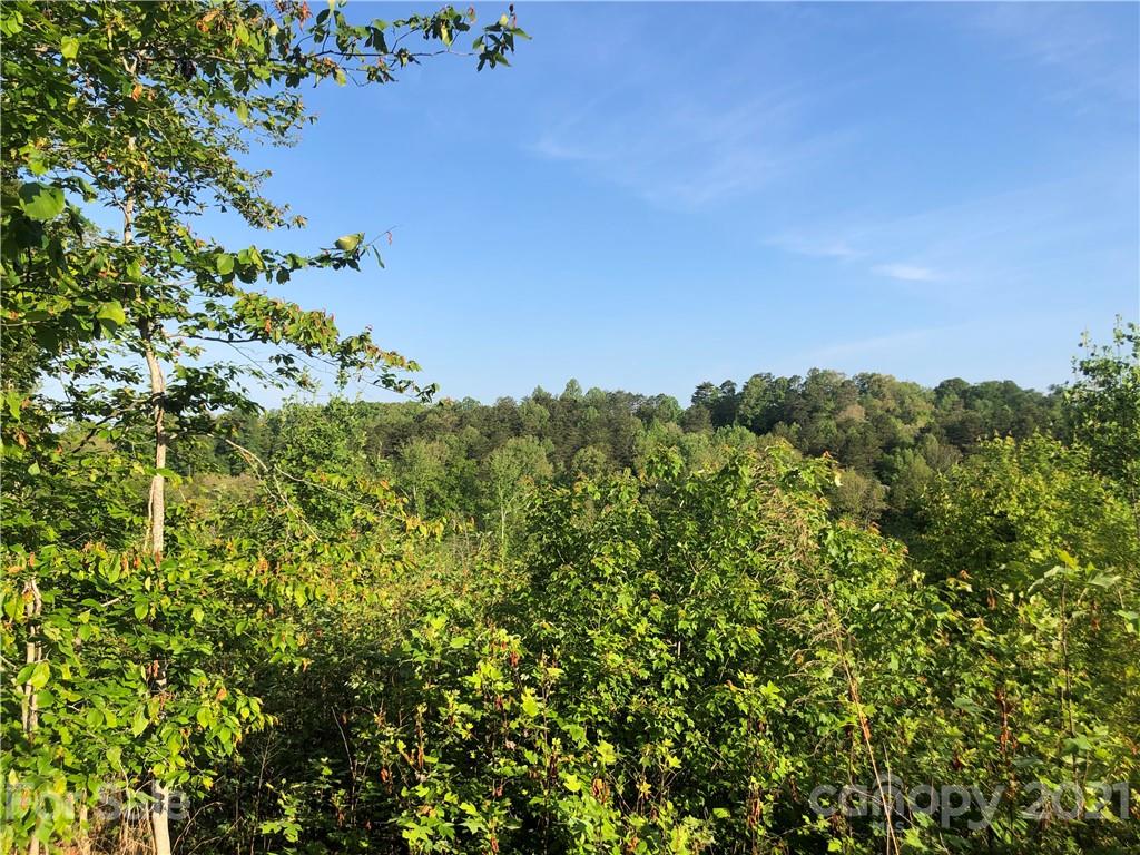 0 Overstone Drive, Unit 280 Rutherfordton, NC 28139 - Photo 10 of 16 a view of a tree with a tree