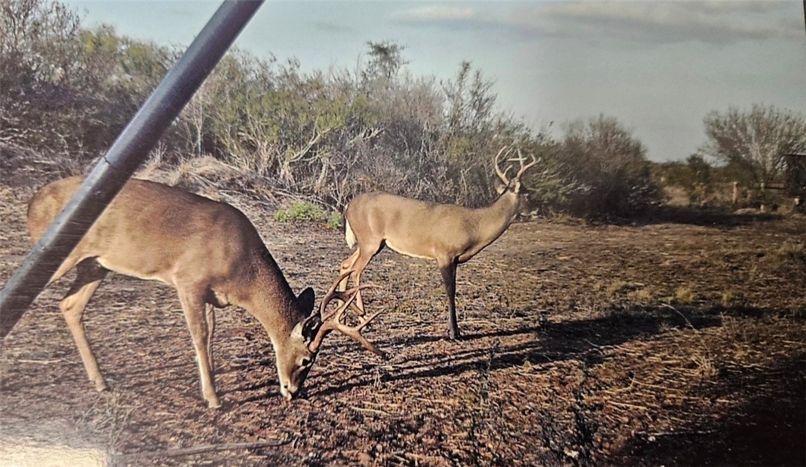 2346 Frontier Rd 1 San Diego, TX 78384 - Photo 12 of 14