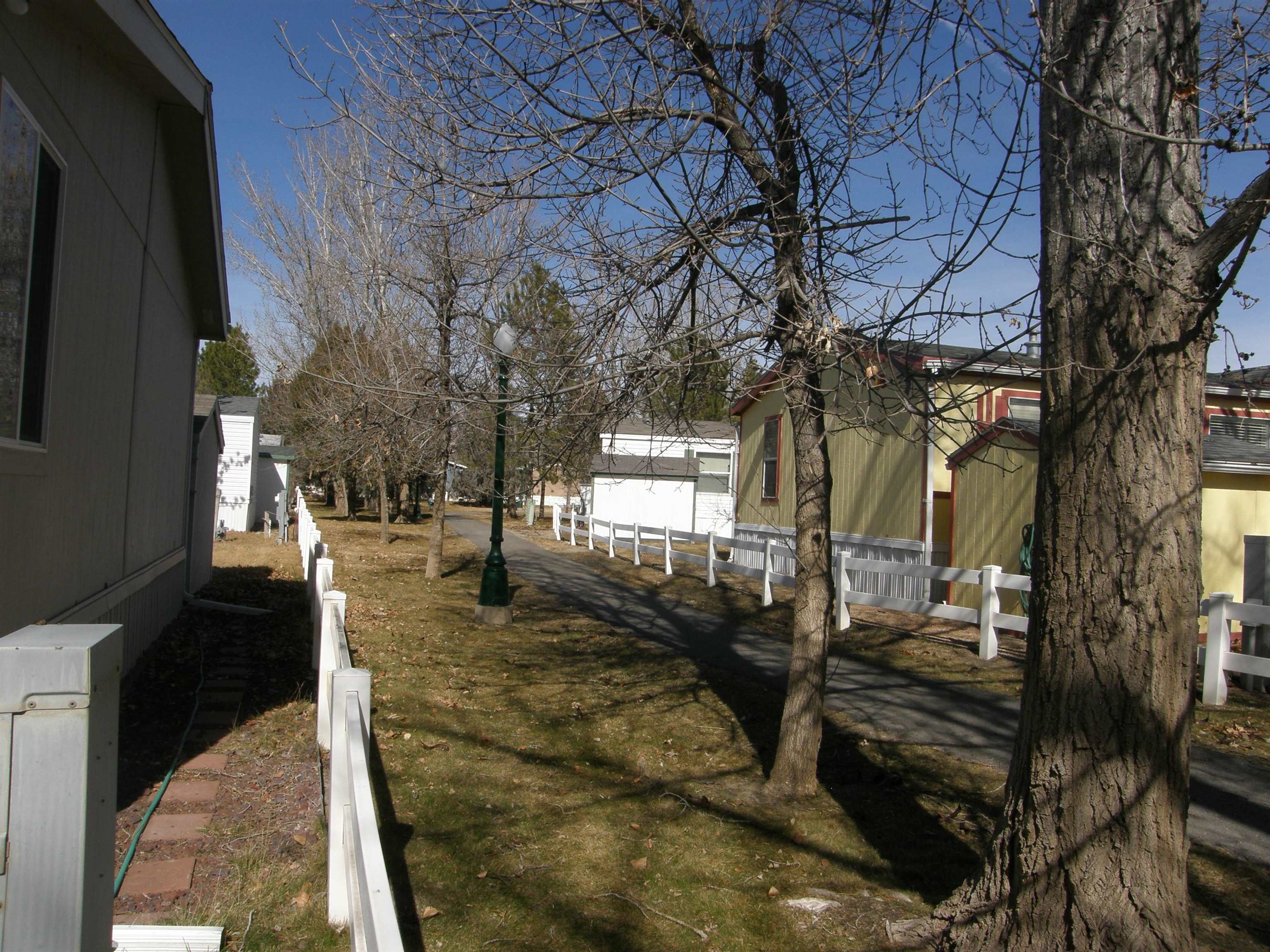 435 32 Road, Unit 262 Clifton, CO 81520 - Photo 7 of 42 a view of a yard with plants and trees