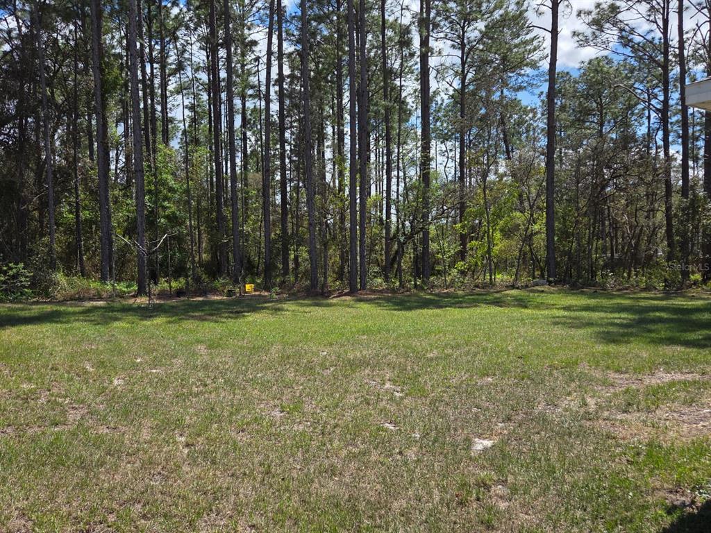 6918 Southwest 144th Lane Ocala, FL 34473 - Photo 5 of 6 a view of outdoor space with deck and trees