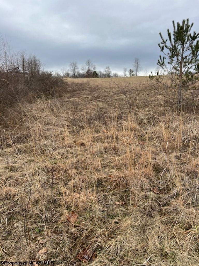 Lot 4 Fern Ridge Elkins, WV 26241 - Photo 2 of 8 Gallery Image 2