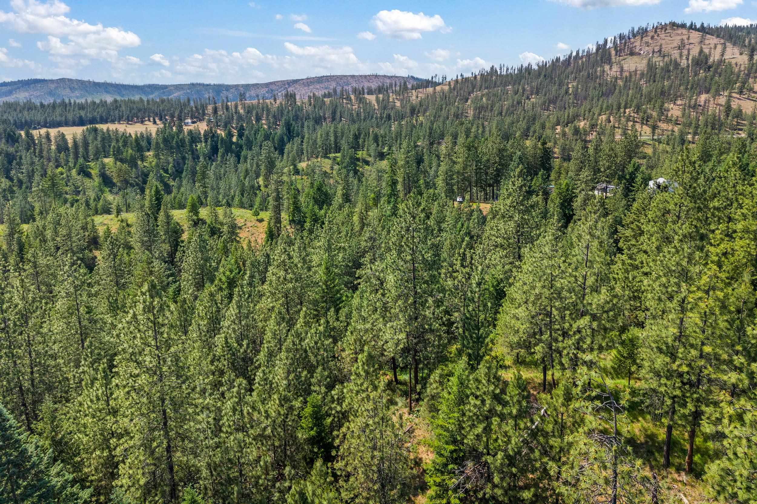 5491 J Sailor Road, Unit M Deer Park, WA 99006 - Photo 13 of 25