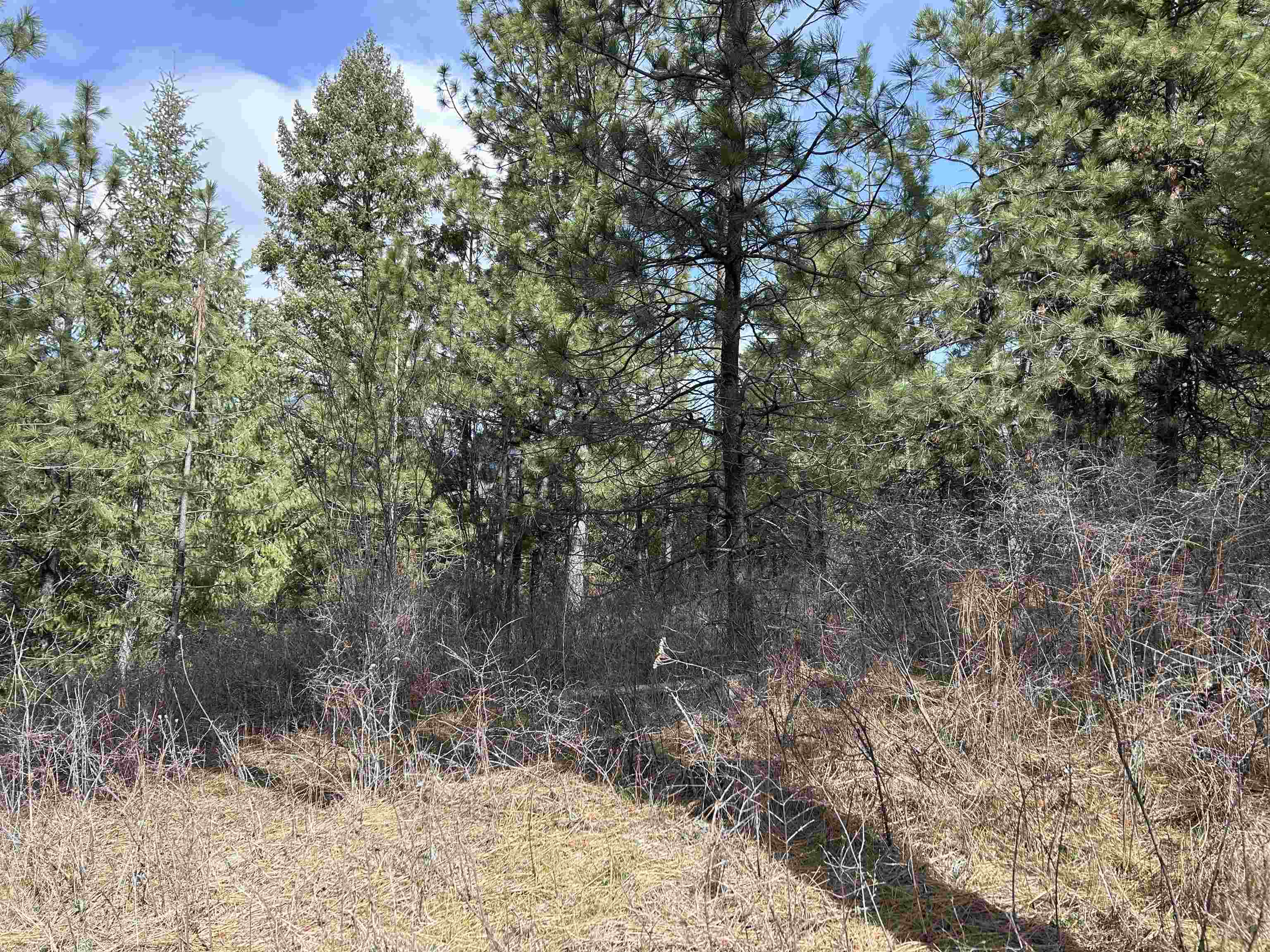 5491 J Sailor Road, Unit M Deer Park, WA 99006 - Photo 22 of 25