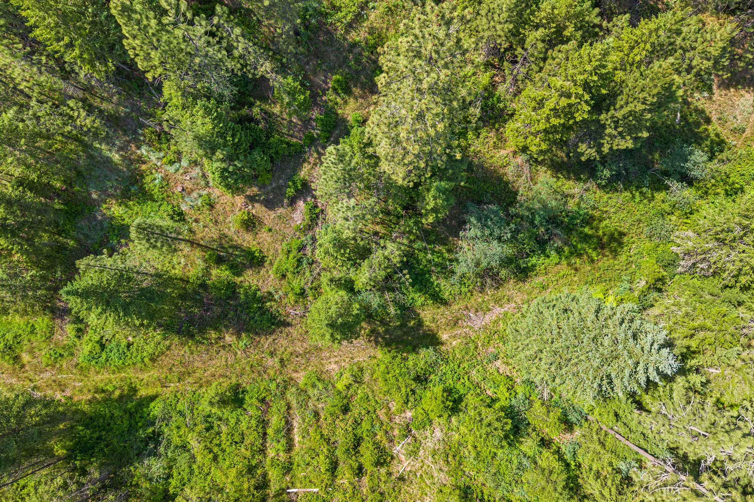 5491 J Sailor Road, Unit M Deer Park, WA 99006 - Photo 6 of 25