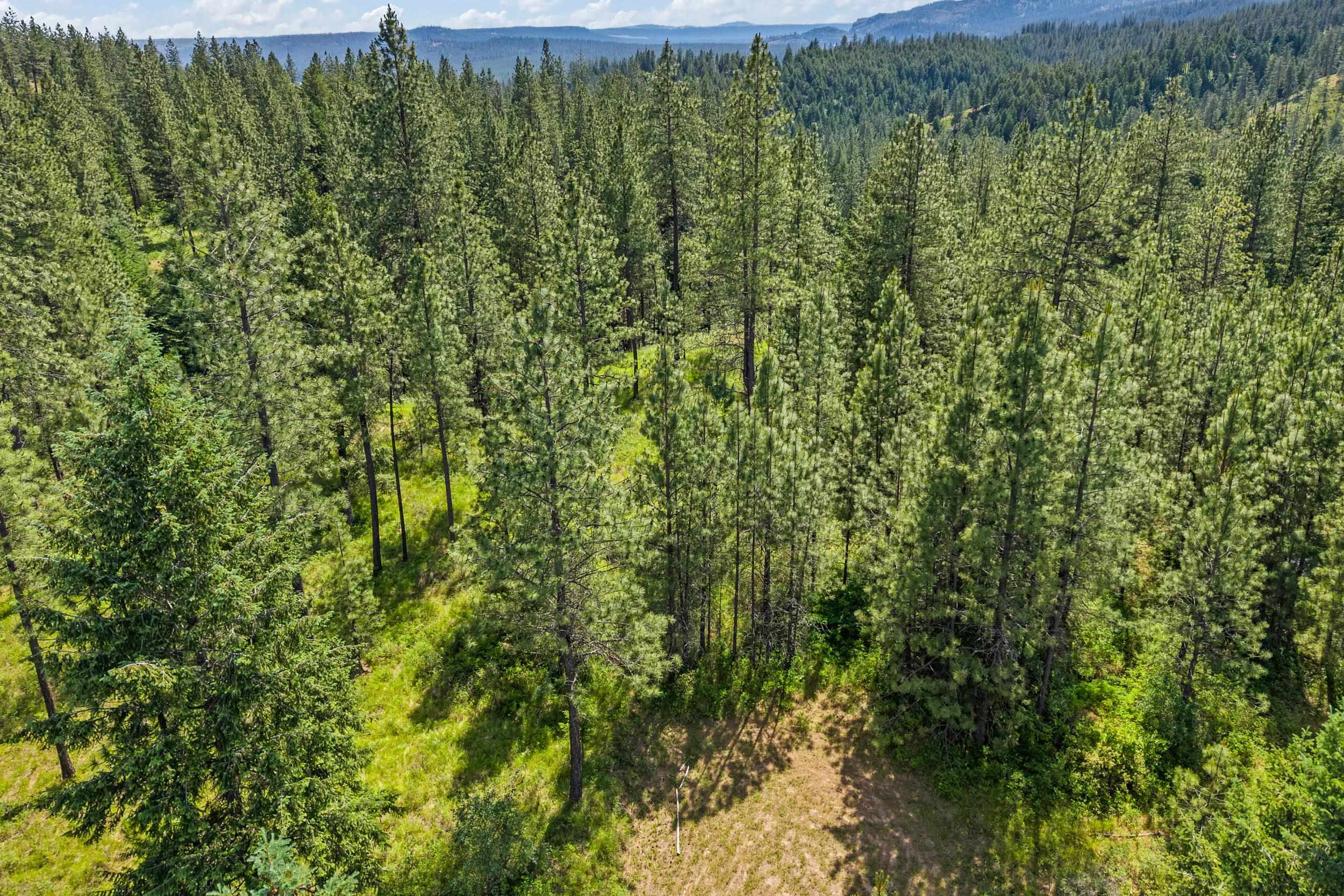 5491 J Sailor Road, Unit M Deer Park, WA 99006 - Photo 8 of 25