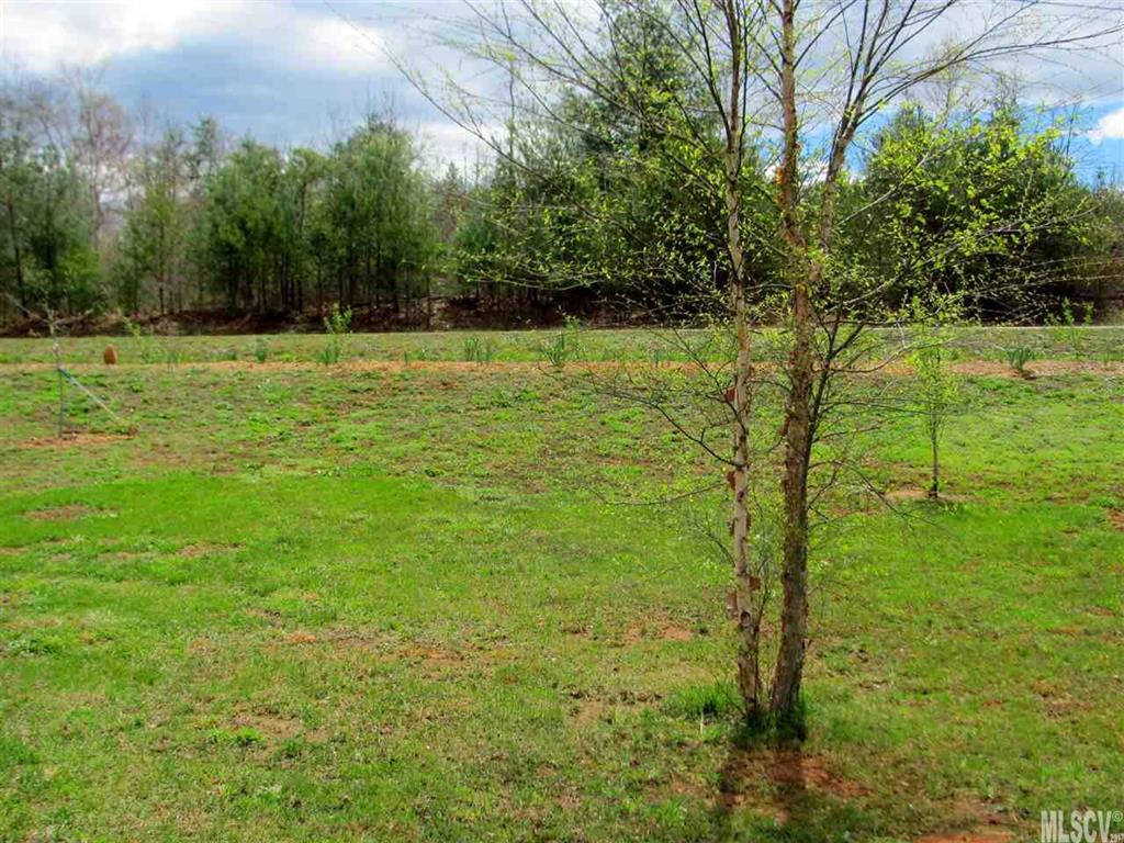 2694 Willow Tree Church Road Morganton, NC 28655 - Photo 14 of 22 Gallery Image 14
