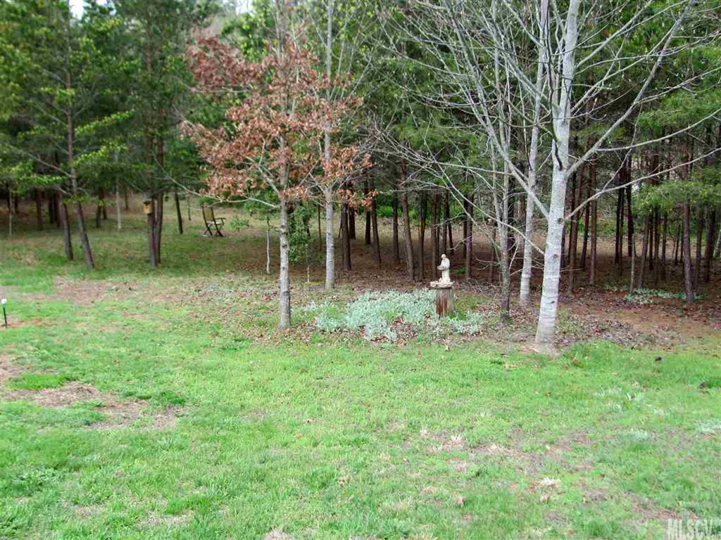 2694 Willow Tree Church Road Morganton, NC 28655 - Photo 10 of 22 Gallery Image 10