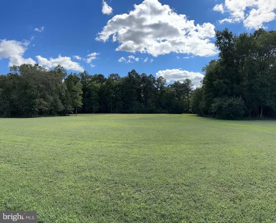 a view of a field with an ocean