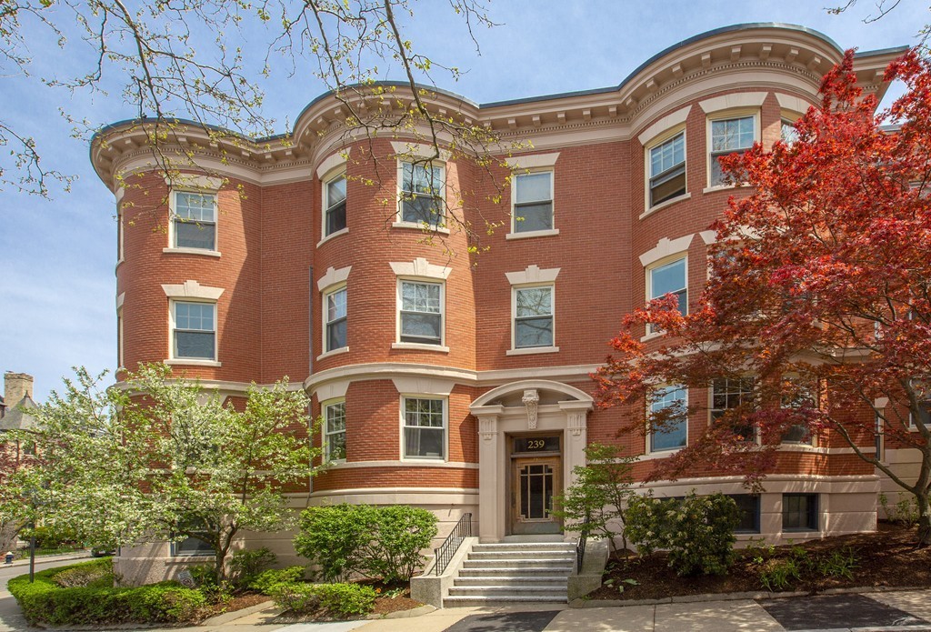 239 Rawson Road, Unit 2392 Brookline, MA 02445 - Photo 6 of 7