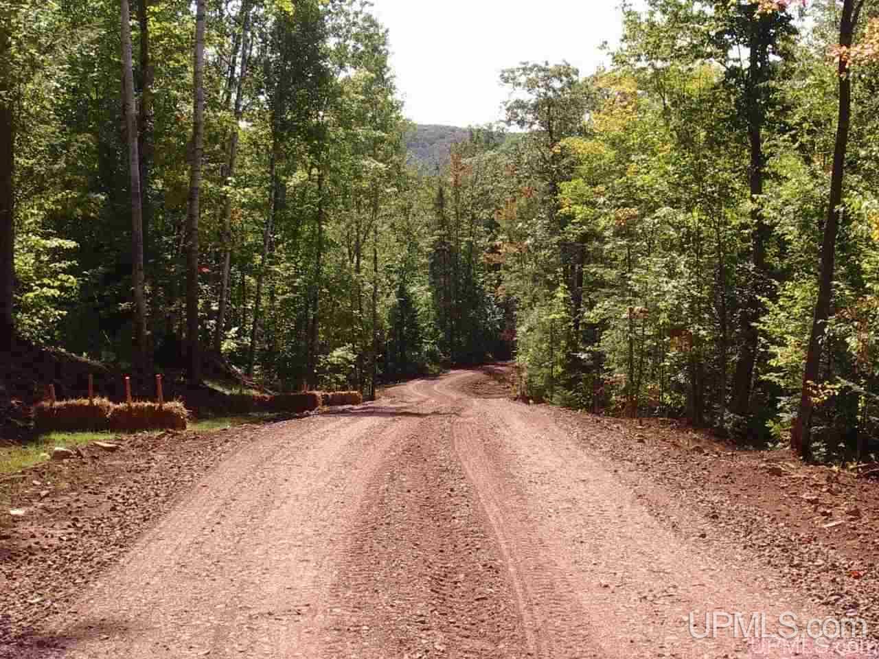 Tbd Blackjack Road Wakefield, MI 49968 - Photo 1 of 10 Gallery Image 1