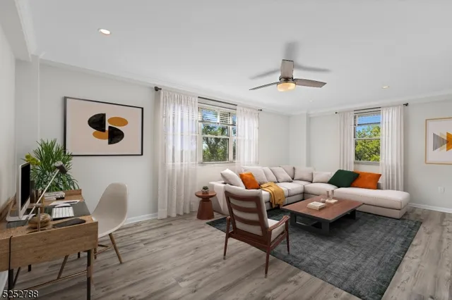 a living room with furniture two window and a potted plant