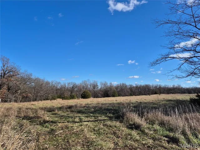 $352,500 | 0 County Road 197, Montgomery City, MO 63361