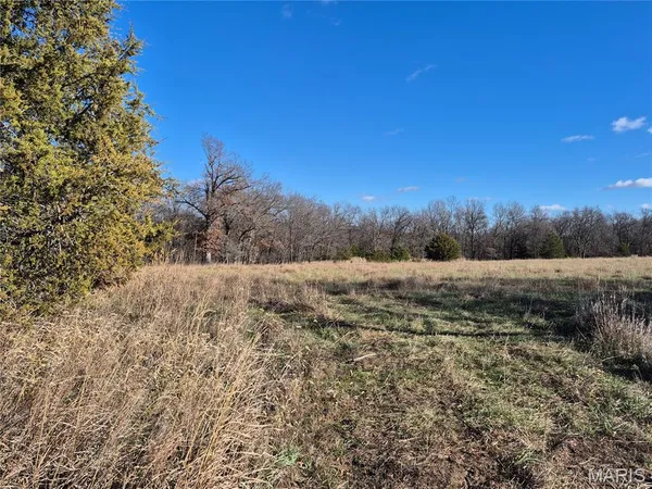 $300,000 | 0 County Road 197, Montgomery City, MO 63361