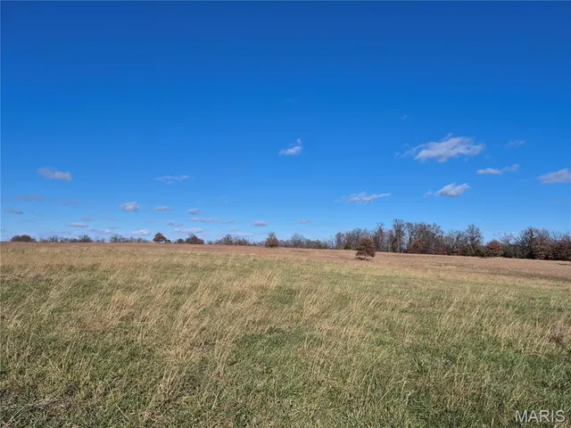 $352,500 | 0 County Road 197, Montgomery City, MO 63361