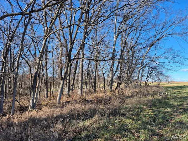 $300,000 | 0 County Road 197, Montgomery City, MO 63361