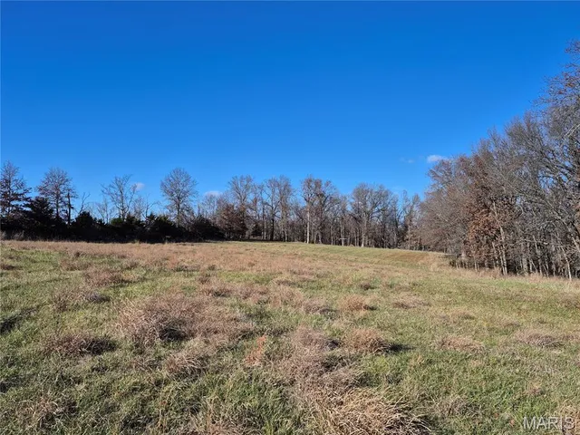 $352,500 | 0 County Road 197, Montgomery City, MO 63361