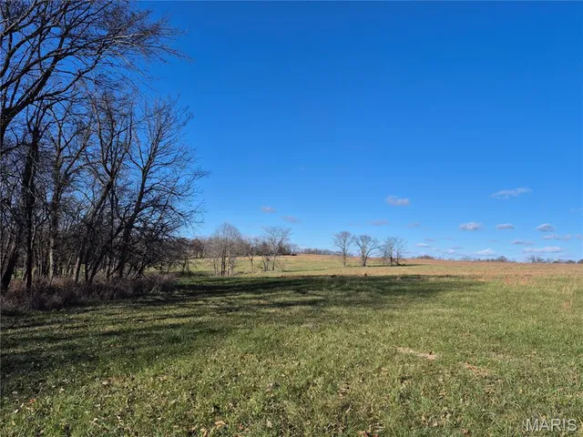 $352,500 | 0 County Road 197, Montgomery City, MO 63361