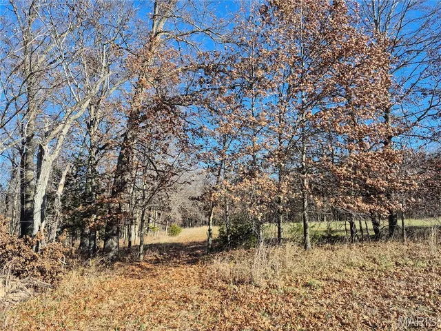 $352,500 | 0 County Road 197, Montgomery City, MO 63361