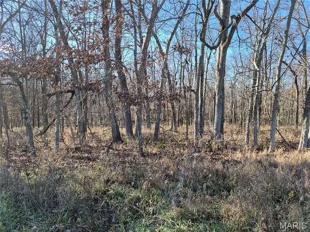 $352,500 | 0 County Road 197, Montgomery City, MO 63361