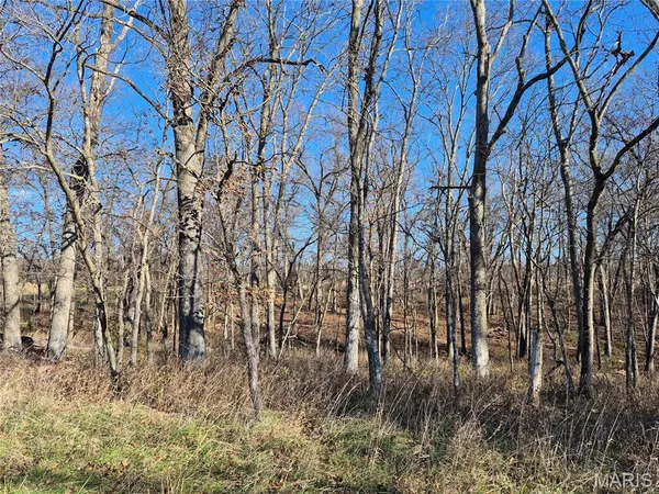 $300,000 | 0 County Road 197, Montgomery City, MO 63361