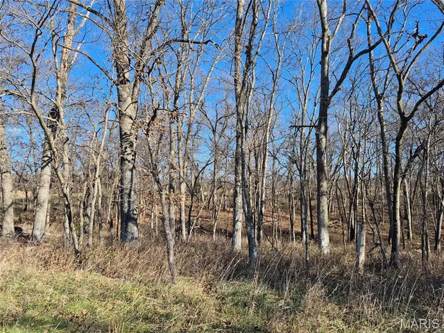 $352,500 | 0 County Road 197, Montgomery City, MO 63361