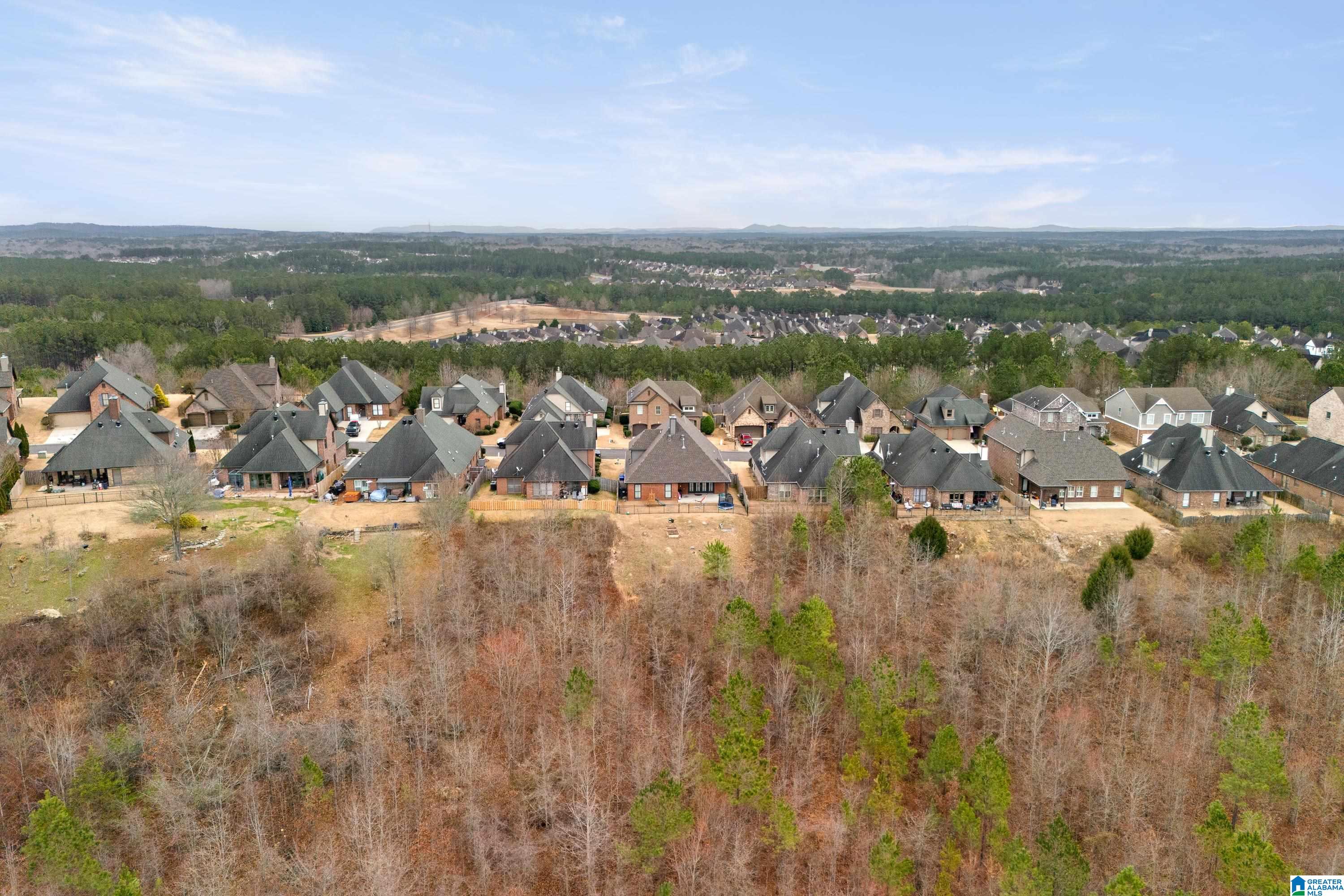3087 Chelsea Park Ridge Chelsea, AL 35043 - Photo 46 of 64