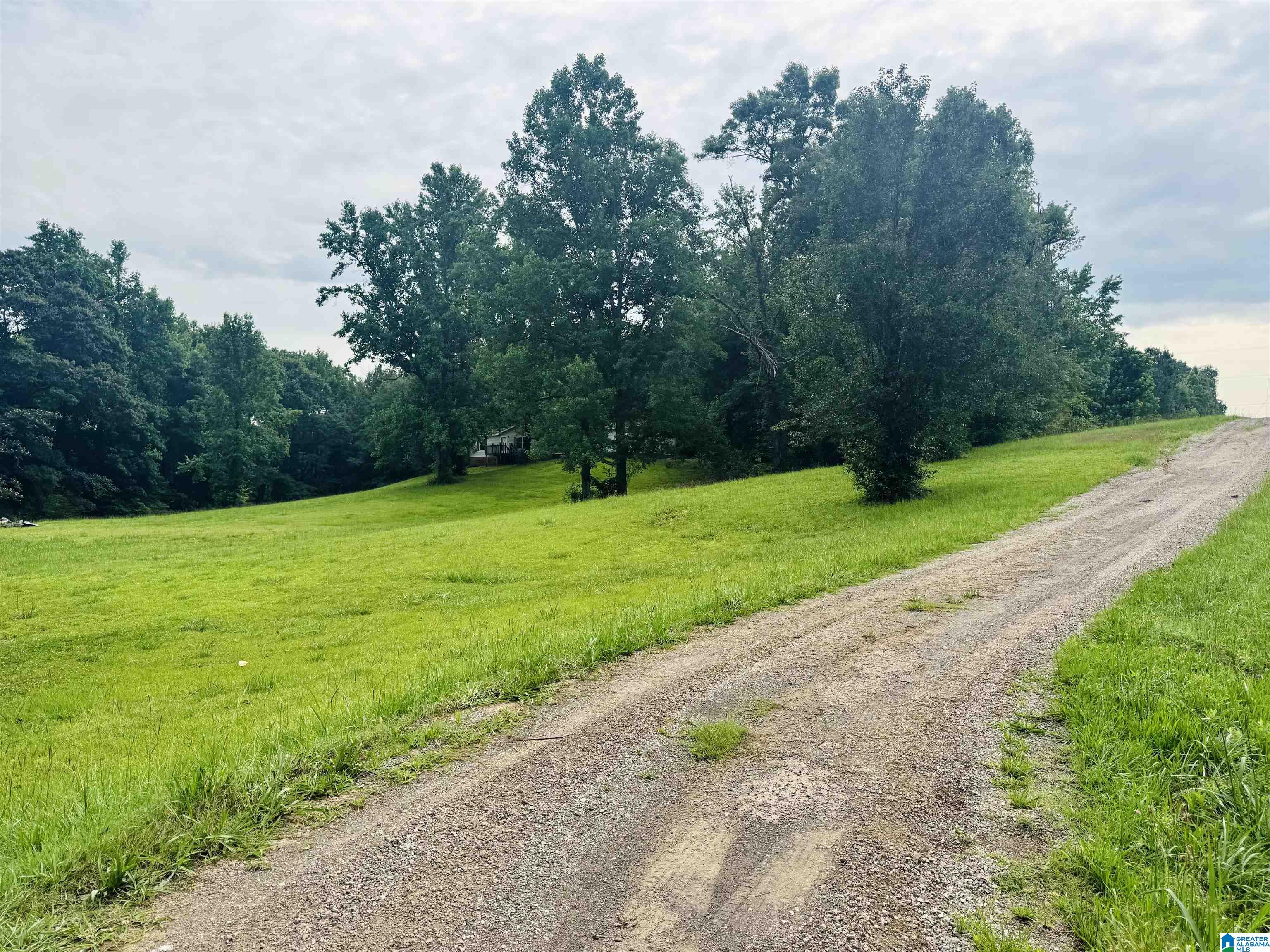 4455 McClendon Chapel Road Bessemer, AL 35022 - Photo 3 of 24