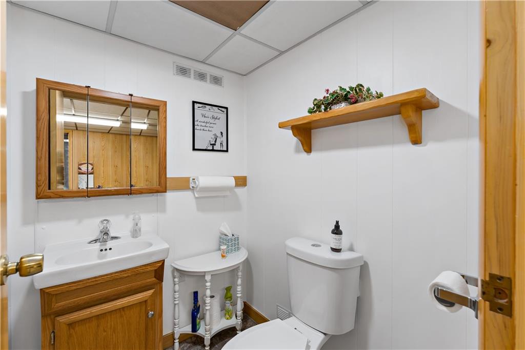 3354 Millers Run Road Cecil, PA 15321 - Photo 27 of 45 a bathroom with a sink mirror and toilet