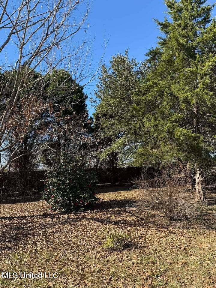 281 Holland Road Lucedale, MS 39452 - Photo 11 of 14 618471724_1486342749765459_5993258850255