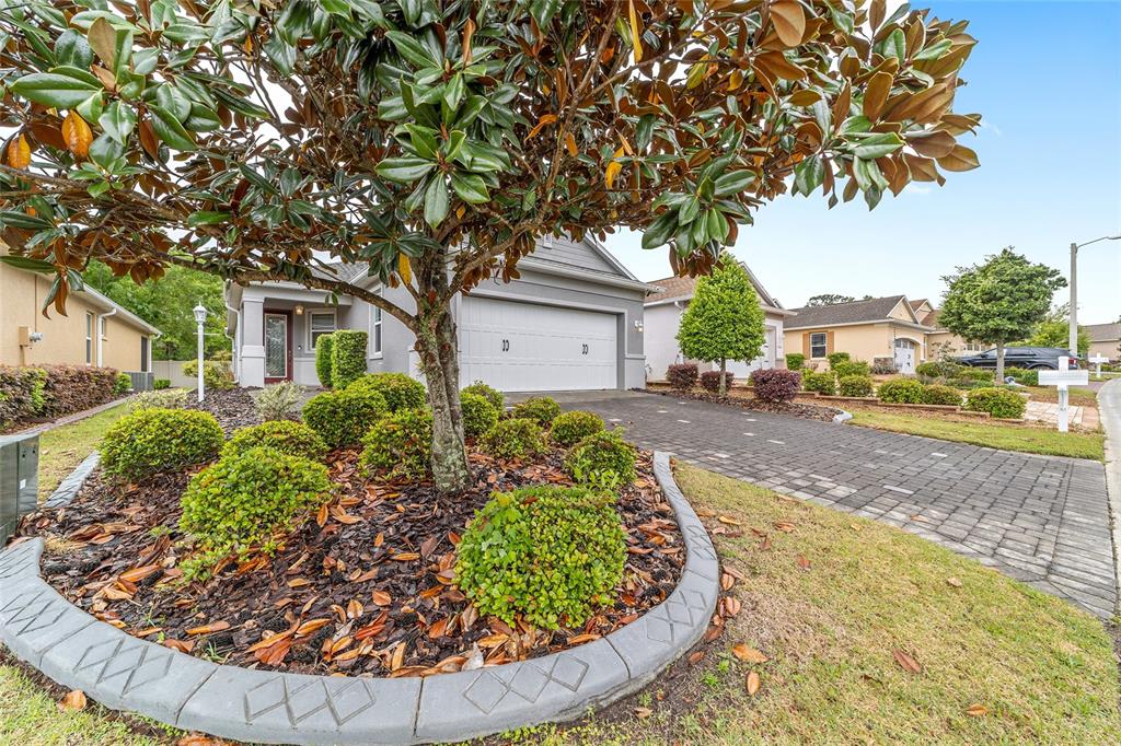 7953 Southwest 89th Loop Ocala, FL 34476 - Photo 8 of 51 Gallery Image 8