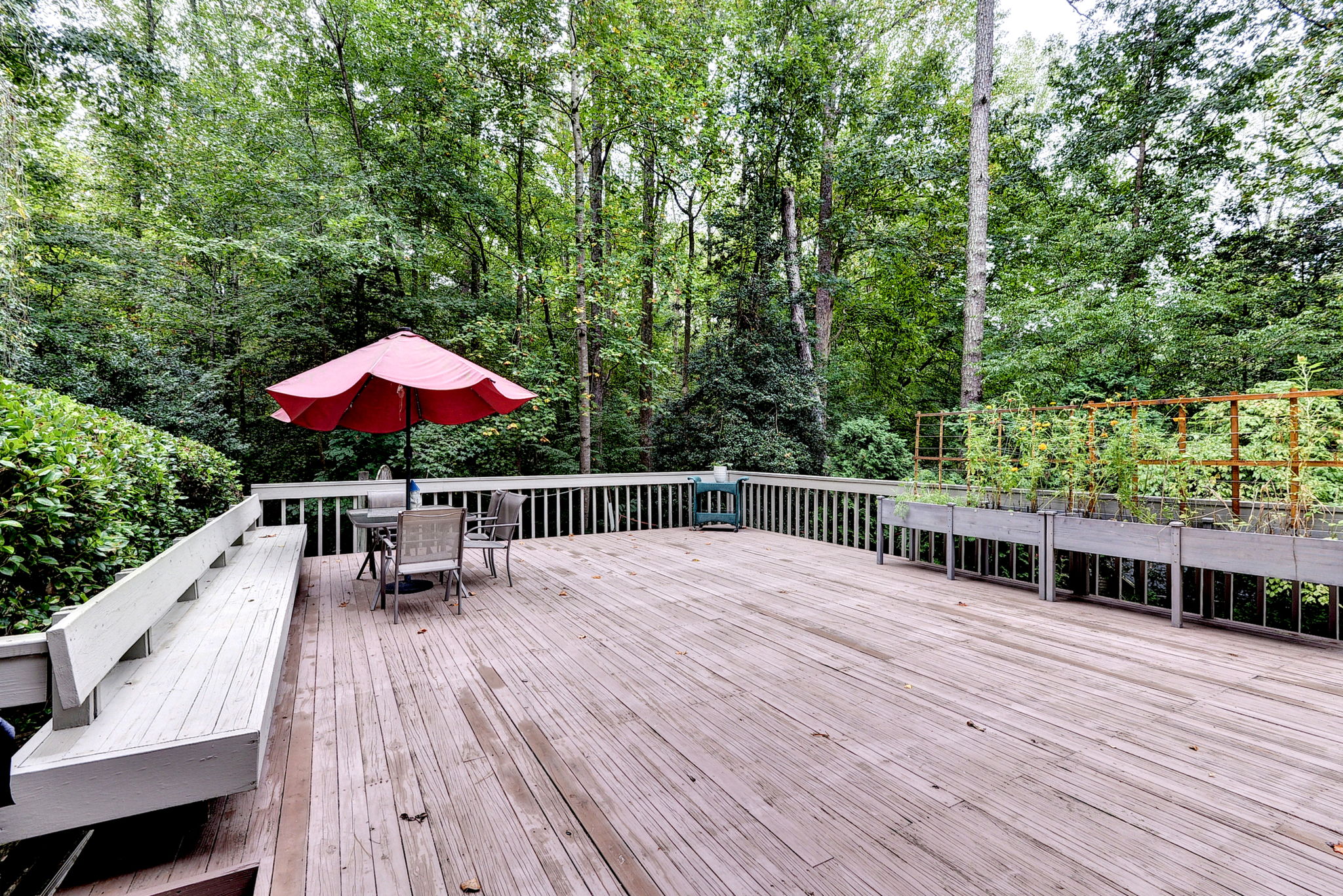 411 Hempstead Road Williamsburg, VA 23188 - Photo 39 of 54 Gallery Image 39