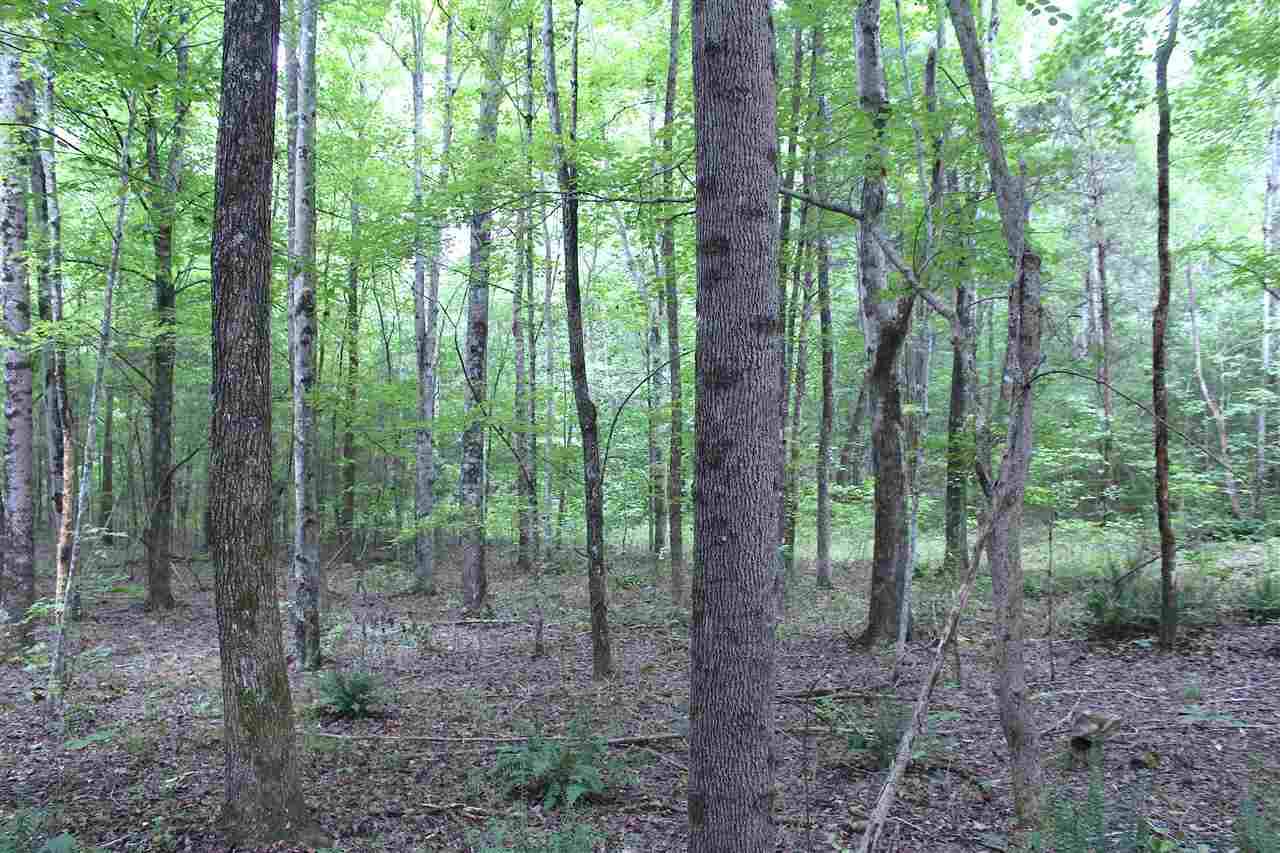 2039 Dexterville-Oak Ridge Road Morgantown, KY 42261 - Photo 7 of 17 Gallery Image 7