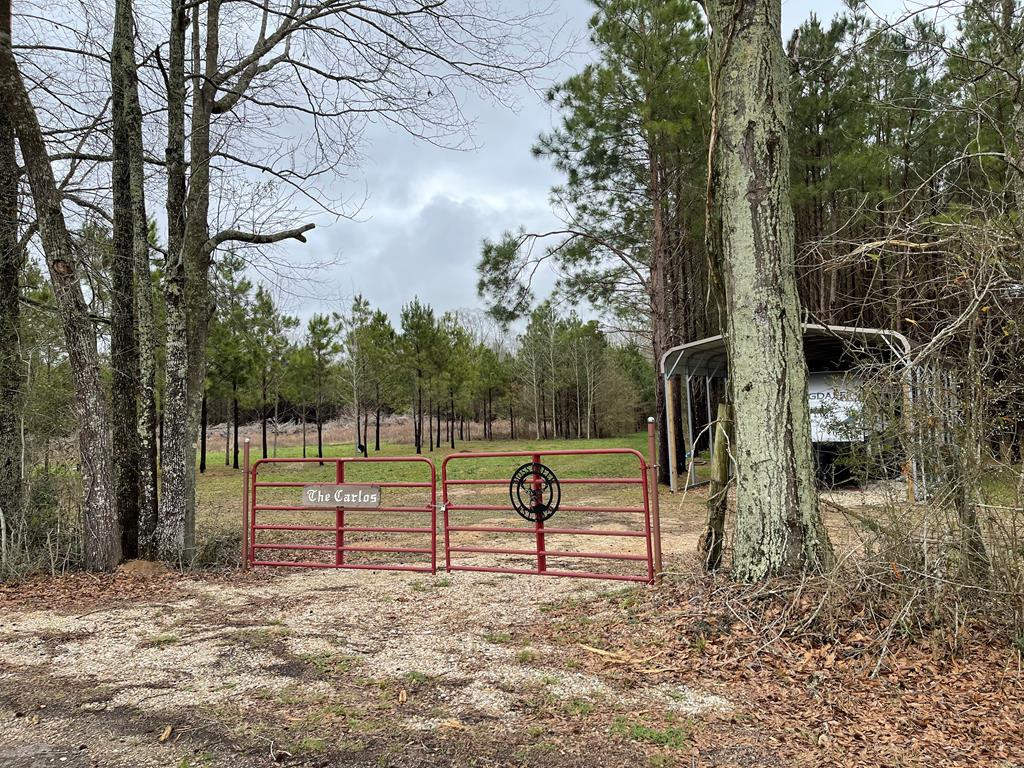 96 Moss Road Kokomo, MS 39643 - Photo 1 of 12 Main View