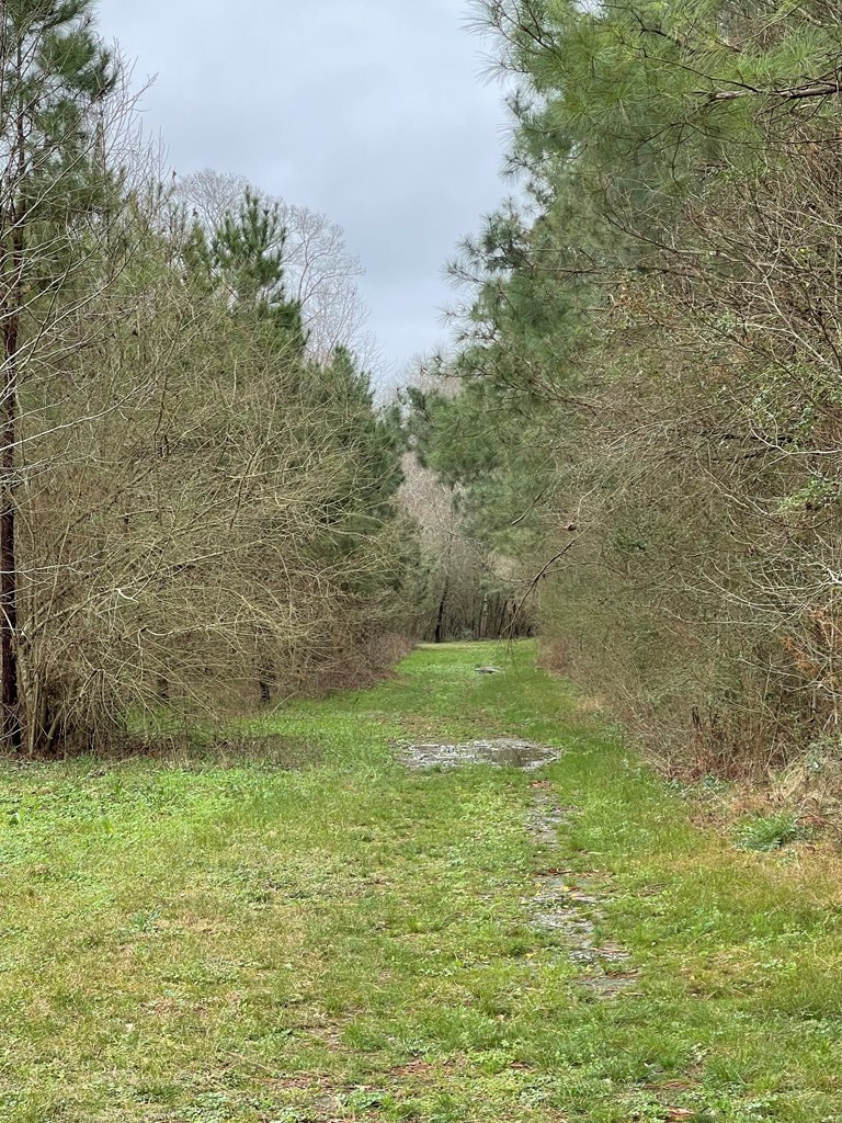 96 Moss Road Kokomo, MS 39643 - Photo 3 of 12 Photo 3